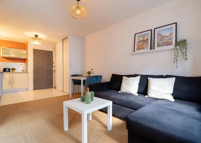 Vieux Lille -Nice Studio Neat And Fully Equipped !